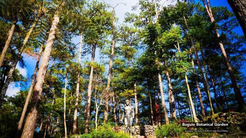 Hotel South Drive Baguio Manor