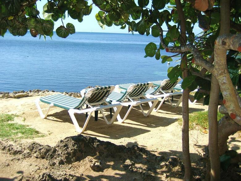 Hotel Las Rocas Resort And Dive Center