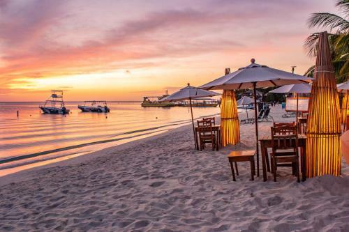Bed & Breakfast Posada Seremein Roatan