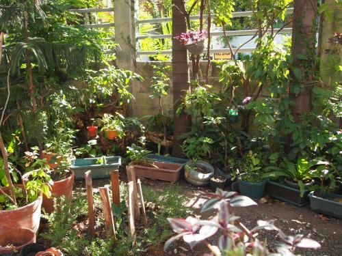 Paranaque Homestay