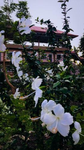 Hotel La Plumerias