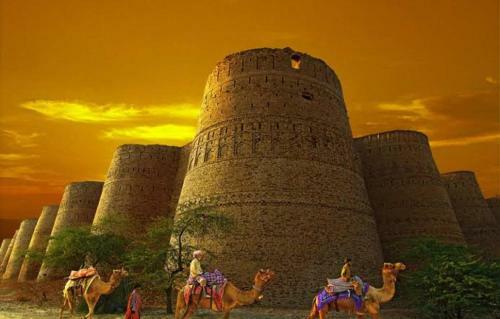 Desert Safari. Cholistan
