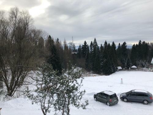 Bed & Breakfast Go?ciniec Pod Smrekami