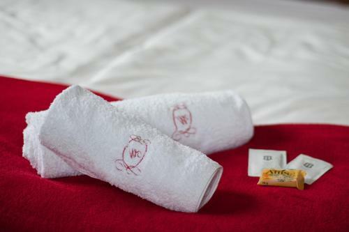 Hostal Medical Wellness & Spa Werona