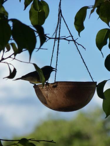 Albergue Natur'hamac