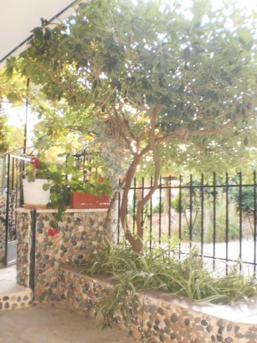 Apartamento Zavrakli