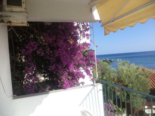 Alexiadis Apartments