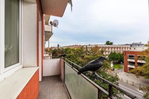 Happy Stay Apartment Rajska 14