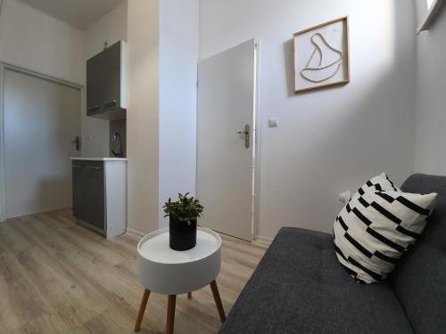 Apartamento Studio ?wi?toja?ska 78