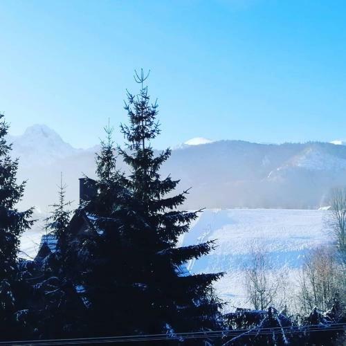 Apartamenty Kierpc�wka