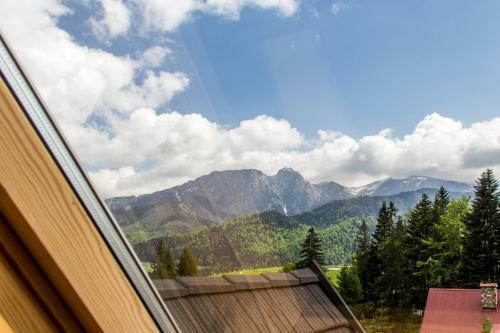 Domki Czajki Zakopane