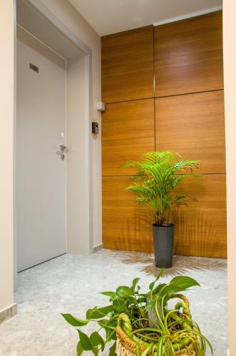 Verde Apartments