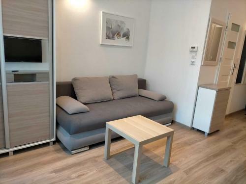 Zyblikiewicza Apartment