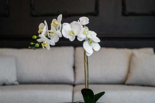 Apartamento Groble Residence Wawelofts