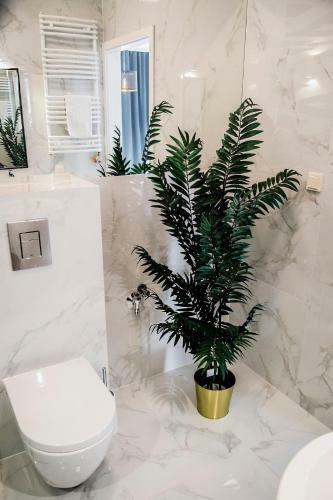 Apartamenty Rakowicka Wawelofts