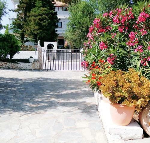 Apartamento Irini Studios