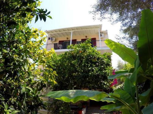 Apartamento Zacharogianni Studios