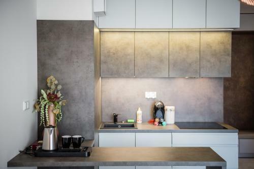 Black Pearl Apartment Old Town Rakowicka Deluxe Wawelofts