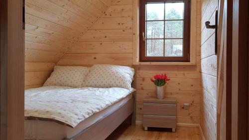 Lodge Domek Aga