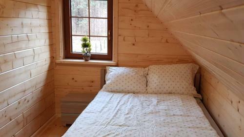 Lodge Domek Aga