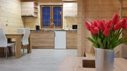 Lodge Domek Aga