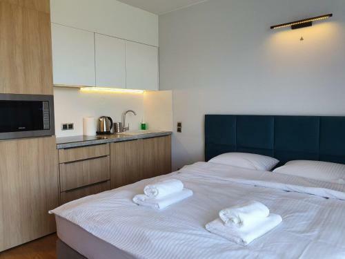 Apartament Baltin Spa 19 - 365pam