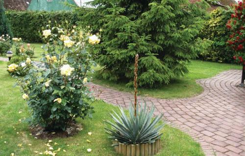 Holiday Home Nowe Warpno Wiejska
