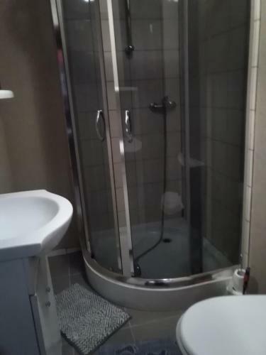 Albergue Pokoje Go?cinne Villa Silesia