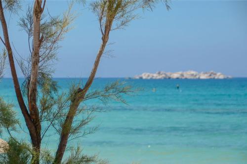 Apartamento Studios Glaronisi 2