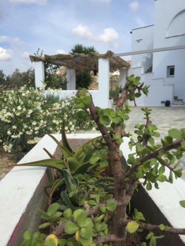 Apartamento Studio Loukas