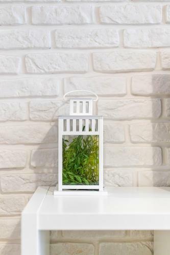 Victus Apartamenty, Apartament Livia