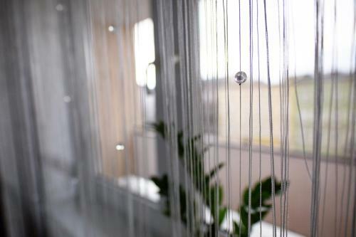 Szczecin Owl Apartment