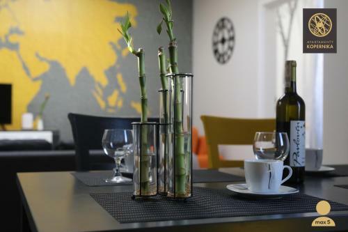 Apartamenty Kopernika