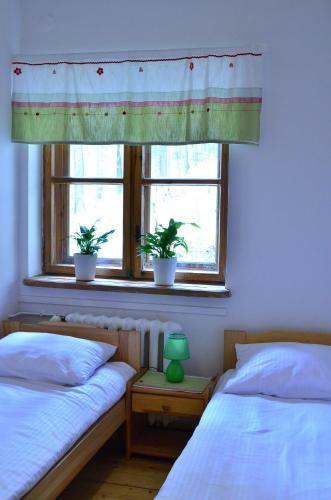 Bed & Breakfast Willa Por?ba