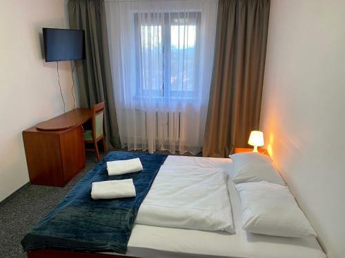 Hotel O?rodek Wypoczynkowy Sudety