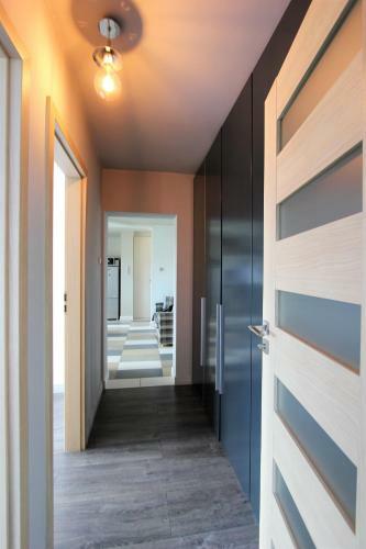Apartamento Freedom In The City