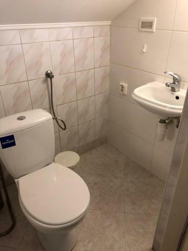 Albergue Nyva House