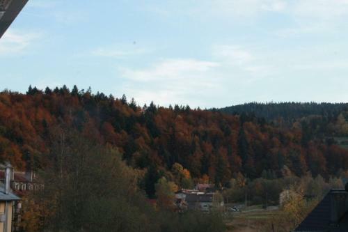 Apartamenty Ski & Fun Spokojna