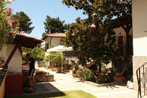 Elena Apartments & Studios