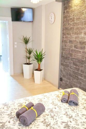 Grey Rooms