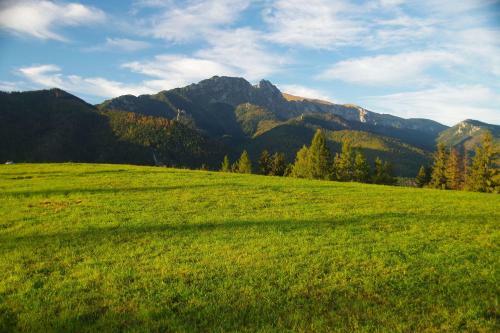 Apartament Vento