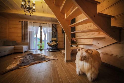 Domki Dream House ,,j?dru?"