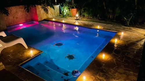 Relaxing Oasis With Pool And Cabana
