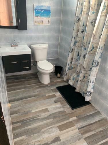 Metropolitan Area Apartment
