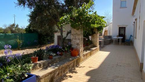 Villa Gold Cip
