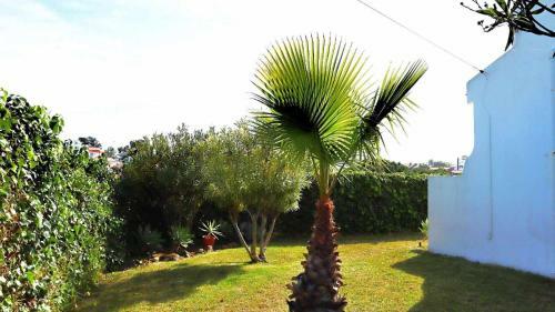 Apartment Oura The Strip Albufeira Pool And Beach