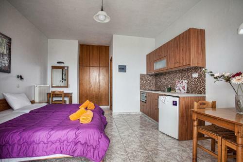 Chrisanthi Studios & Apartments