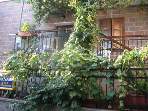 Apartamento Machi's Guest House