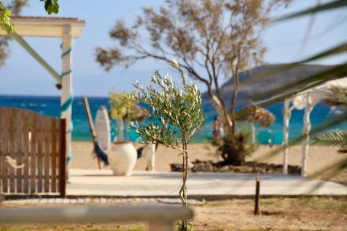 Apartamento Porto Paradiso
