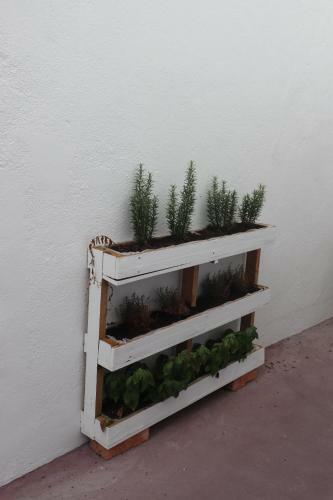 Apartamento Casa Gil Vicente